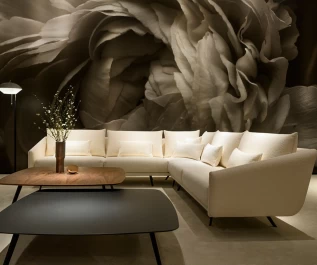 Σαλόνι Γωνία Elegant